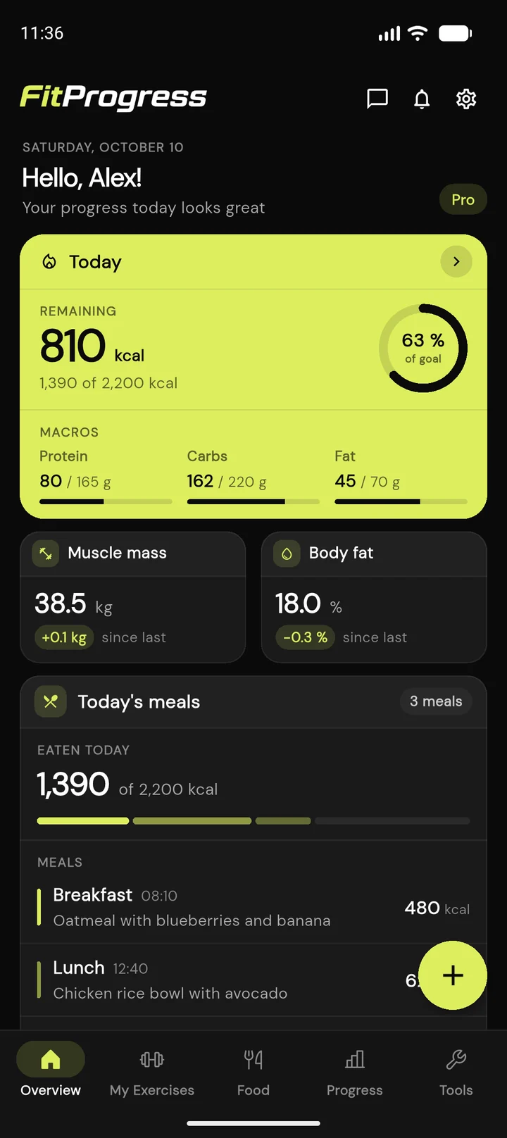 FitProgress app - daily overview