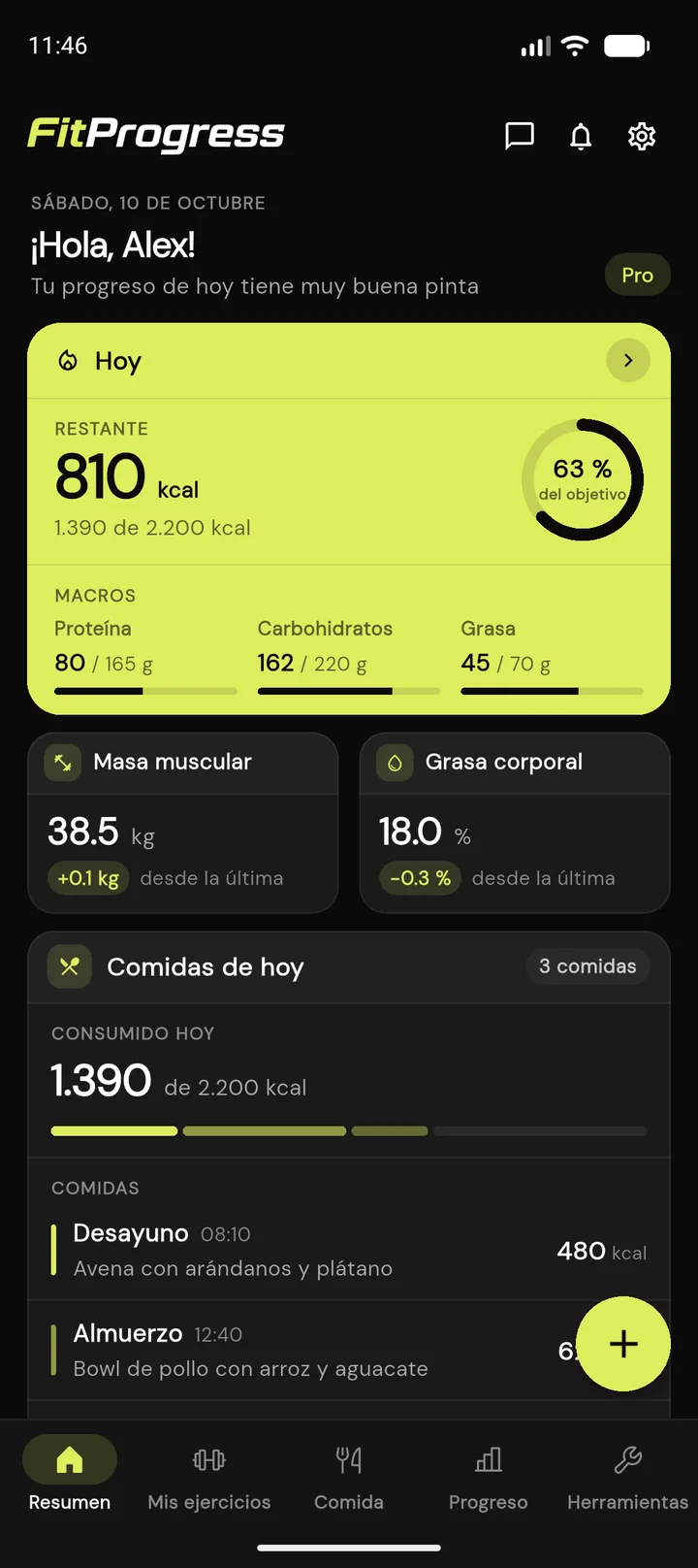 App FitProgress - resumen del día